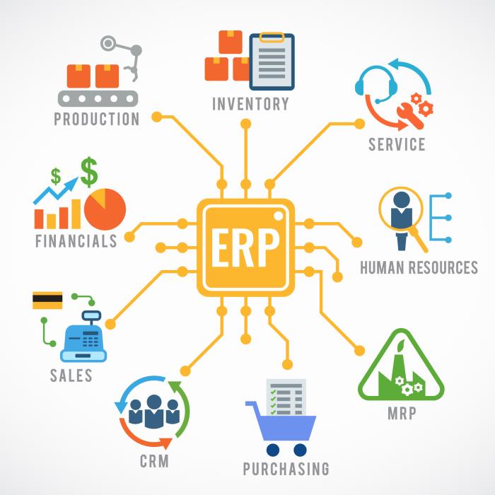 enterprise resource planning business process integration